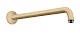 Hansgrohe Aktiva - Sprchové rameno 389 mm, kefovaný bronz 27413140