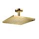 Hansgrohe Raindance E - Horná sprcha E300, 1jet, leštený vzhľad zlata 26250990